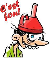 Fou