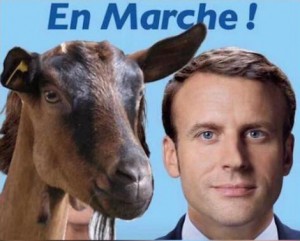 chevre-en-marche