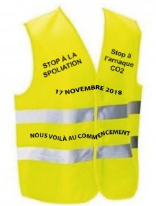 gilet-jaune-2
