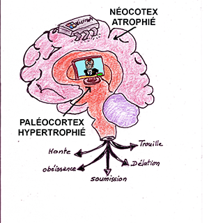 cerebrum-300