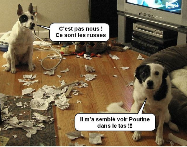 0000156cenestpasnous-ce-sont-les-russes